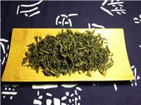 苦丁茶图片（苦丁茶图片 植物图片）